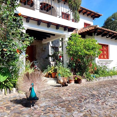 Hotel Y Jardines Casa Buho Antigua Exteriér fotografie