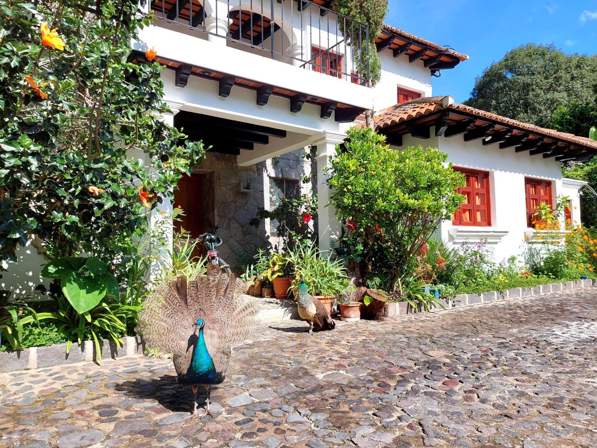 Hotel Y Jardines Casa Buho Antigua Exteriér fotografie
